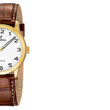 Festina Classic 164521 6