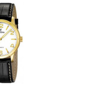 Festina Classic 164523 6