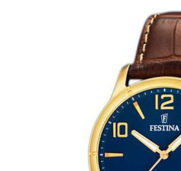 Festina Classic 164524 4