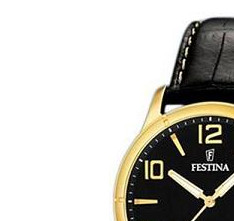 Festina Classic 164525 4