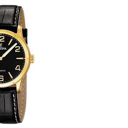 Festina Classic 164525 6