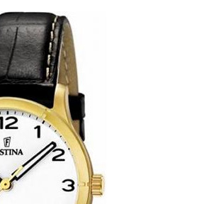 Festina Classic 164532 5