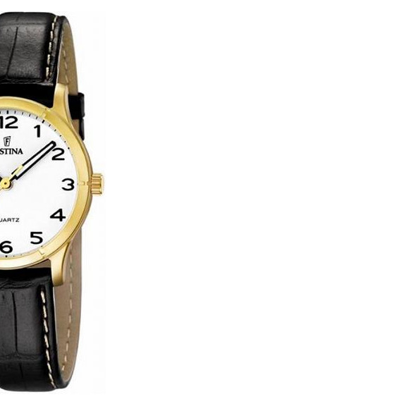 Festina Classic 164532 6