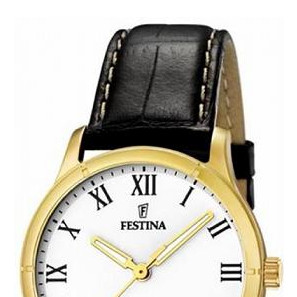 Festina Classic 164533 3