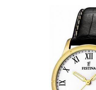 Festina Classic 164533 4