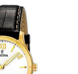 Festina Classic 164534 5
