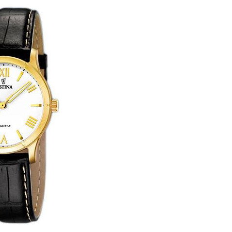 Festina Classic 164534 6