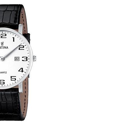 Festina Classic 164761 6