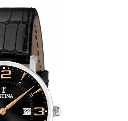 Festina Classic 164775 5