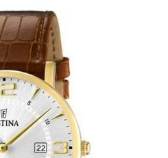 Festina Classic 164783 5