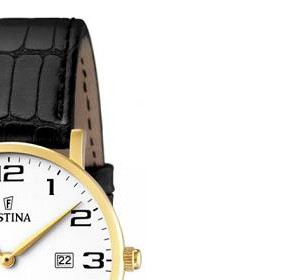 Festina Classic 164791 5