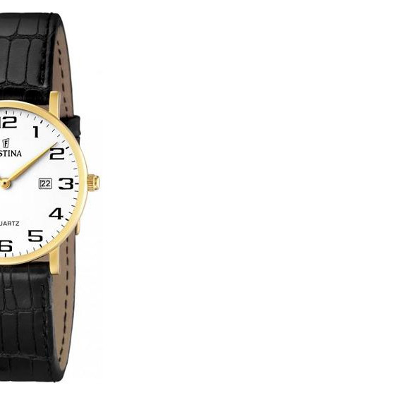 Festina Classic 164791 6