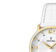 Festina Classic 164793 4