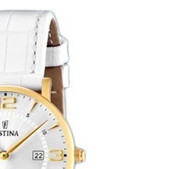 Festina Classic 164793 5
