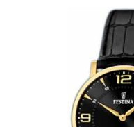 Festina Classic 164794 4