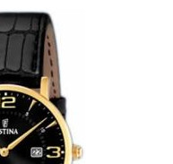 Festina Classic 164794 5
