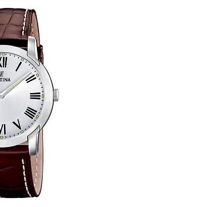 Festina Classic 165064 6