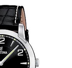 Festina Classic 165066 5