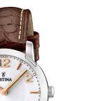 Festina Classic 165073 5