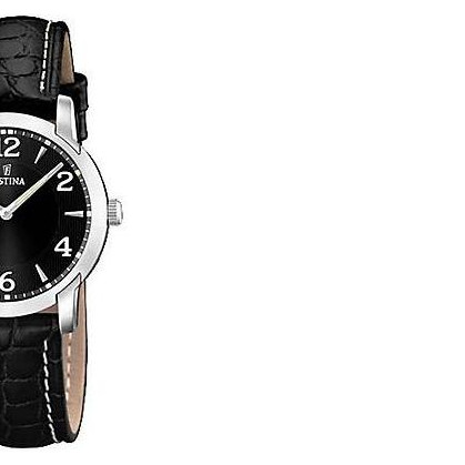 Festina Classic 165076 6