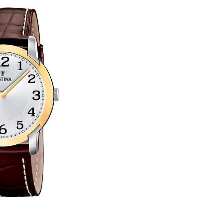 Festina Classic 165081 6