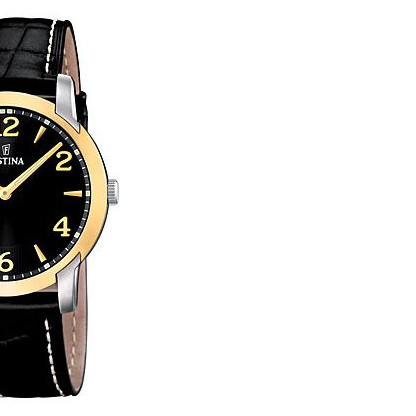 Festina Classic 165083 6