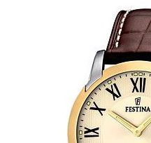 Festina Classic 165084 4