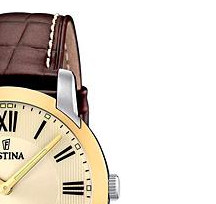Festina Classic 165084 5