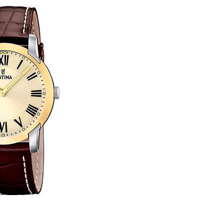 Festina Classic 165084 6