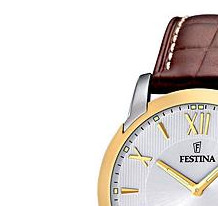 Festina Classic 165085 4