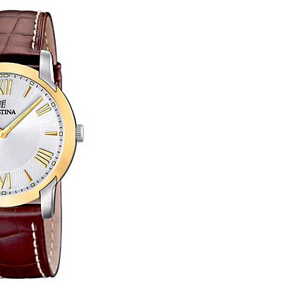 Festina Classic 165085 6