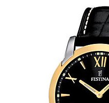 Festina Classic 165086 4