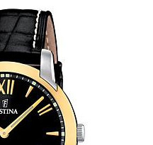 Festina Classic 165086 5