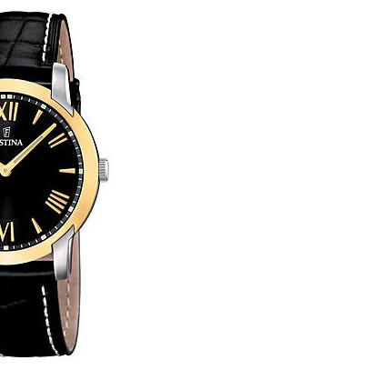 Festina Classic 165086 6