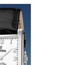 Festina Classic 165112 5