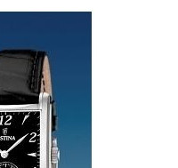 Festina Classic 165116 5