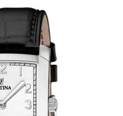 Festina Classic 165122 5