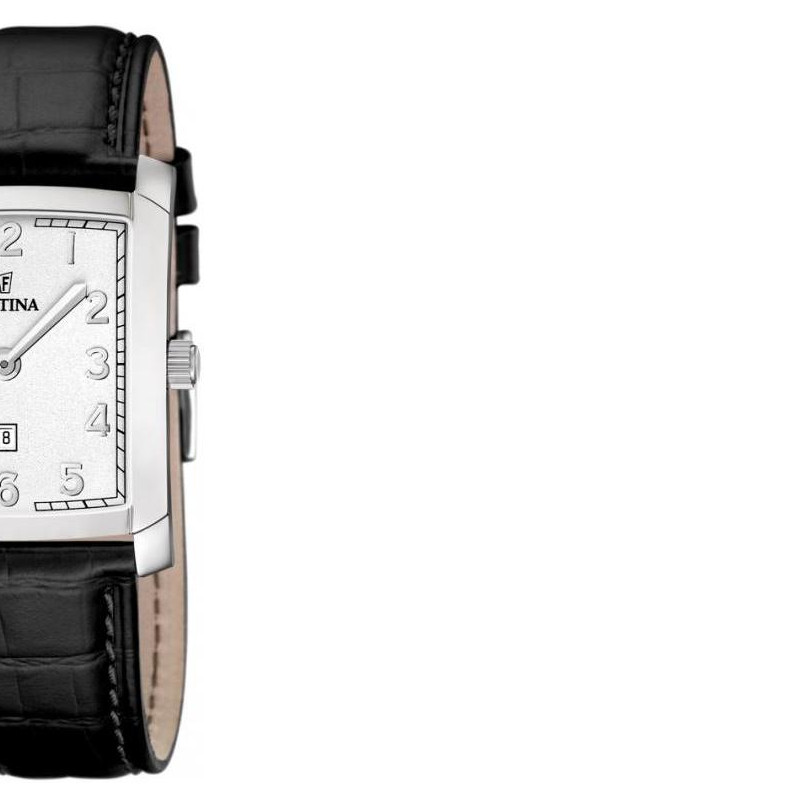 Festina Classic 165122 6