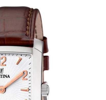 Festina Classic 165124 5