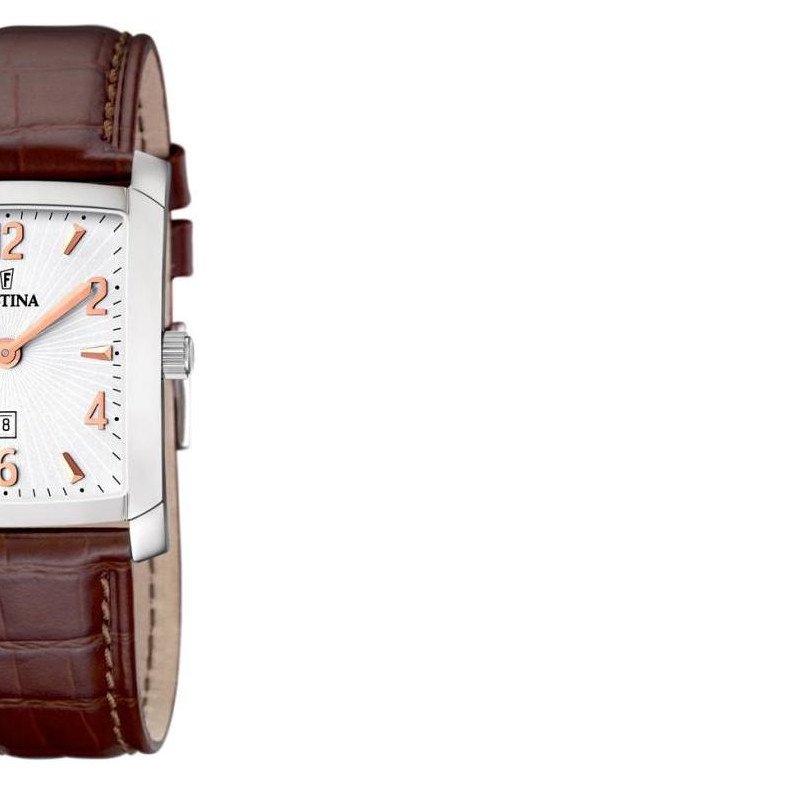 Festina Classic 165124 6