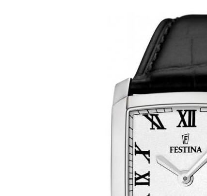 Festina Classic 165125 4