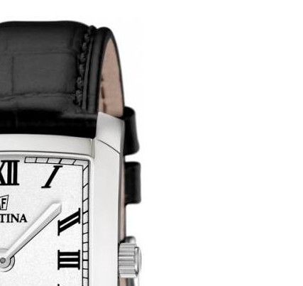 Festina Classic 165125 5
