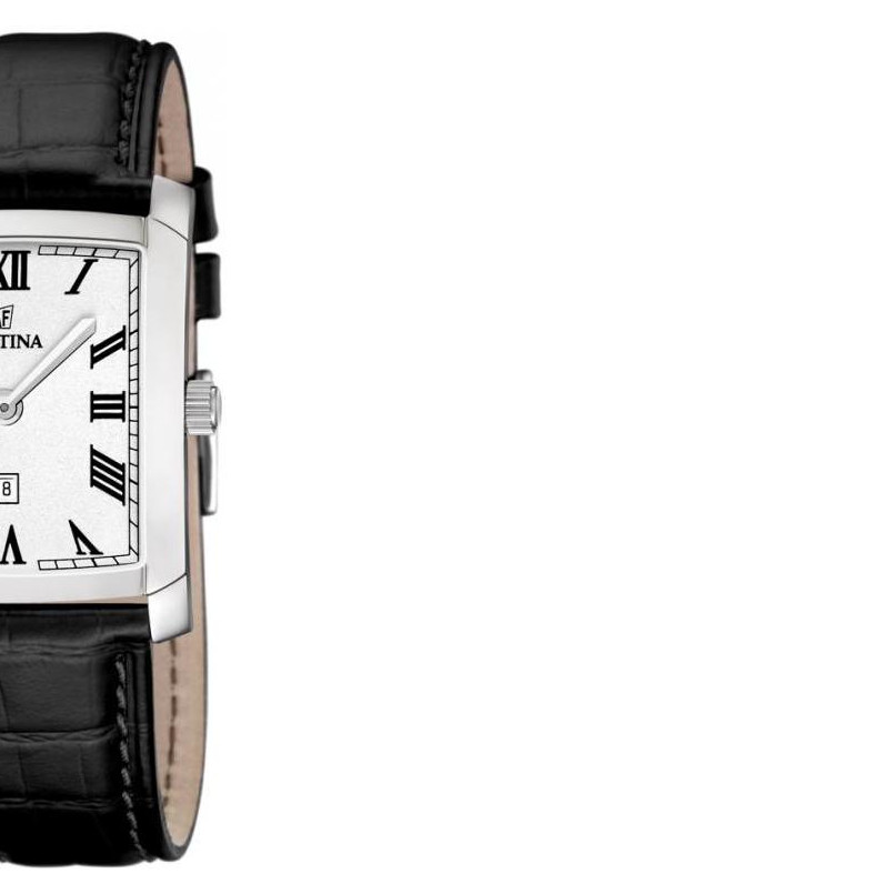 Festina Classic 165125 6