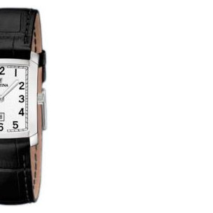 Festina Classic 165131 6