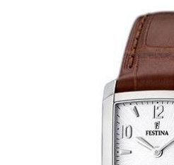 Festina Classic 165132 4