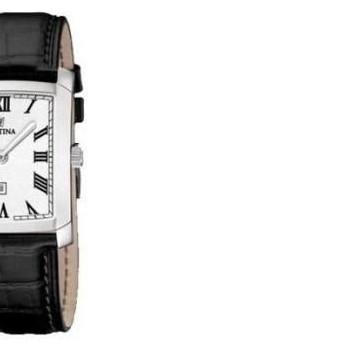 Festina Classic 165134 6