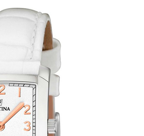 Festina Classic 165135 5