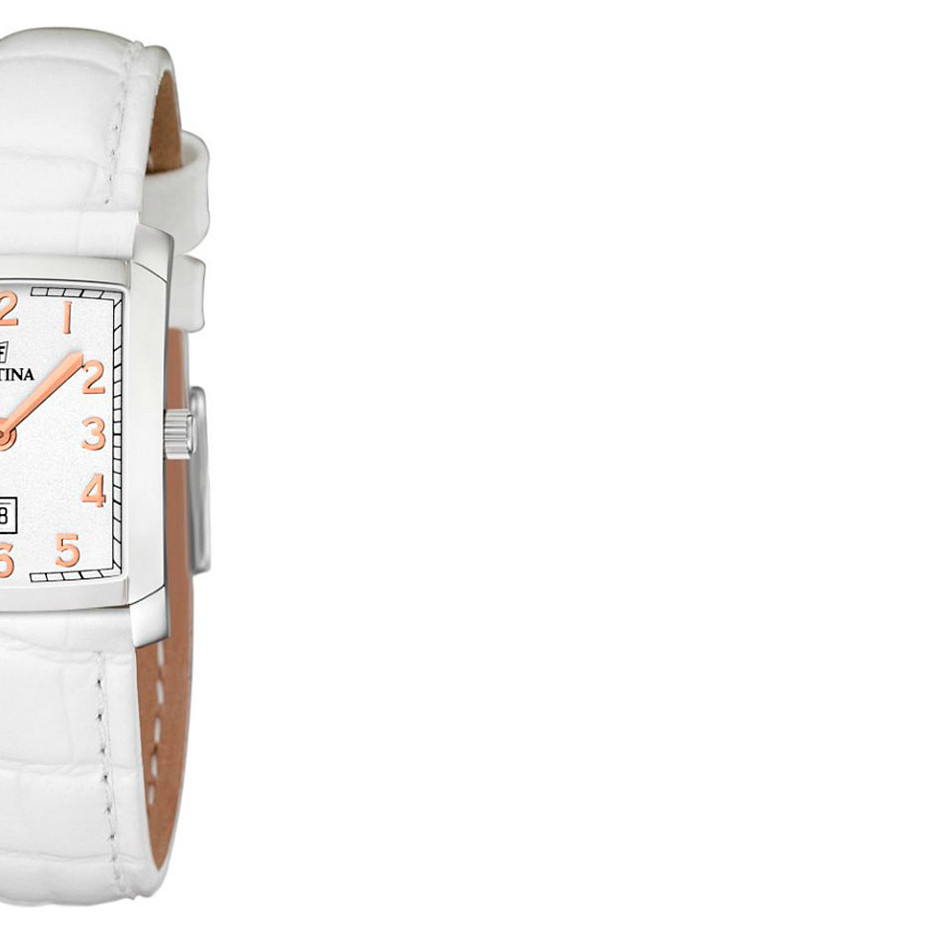 Festina Classic 165135 6