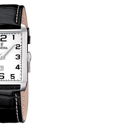 Festina Classic 165141 6