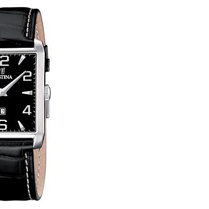 Festina Classic 165143 6